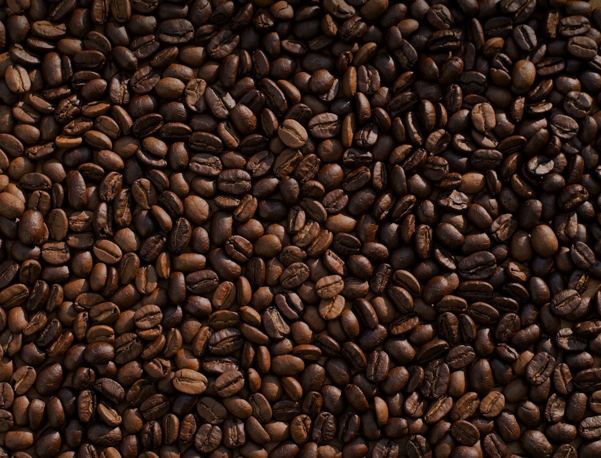 Rare expensive coffee beans luxury