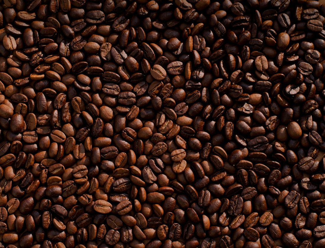 Jamaica Blue Mountain coffee — the world's most expensive and sought-after bean
