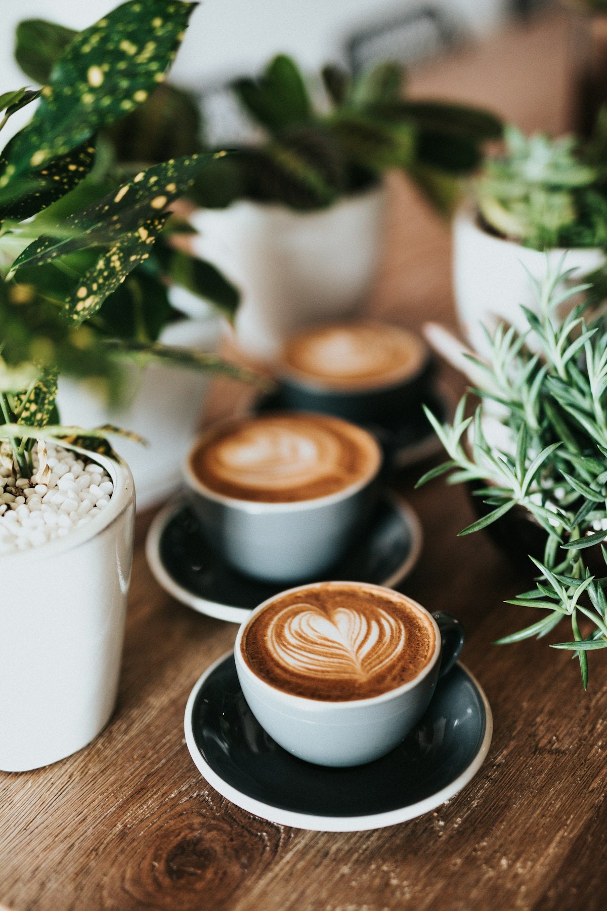 Spiced coffee cardamom Arabic qahwa