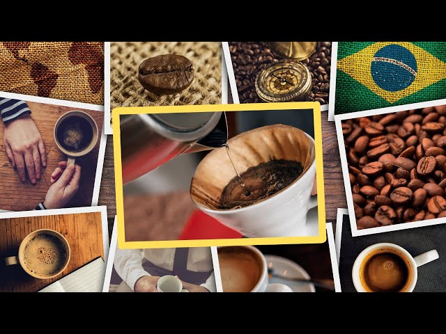 Brazil — The Giant's Harvest