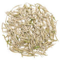 Fuding Silver Needle White Tea Baihao Yinzhen loose leaf buds from Fujian China