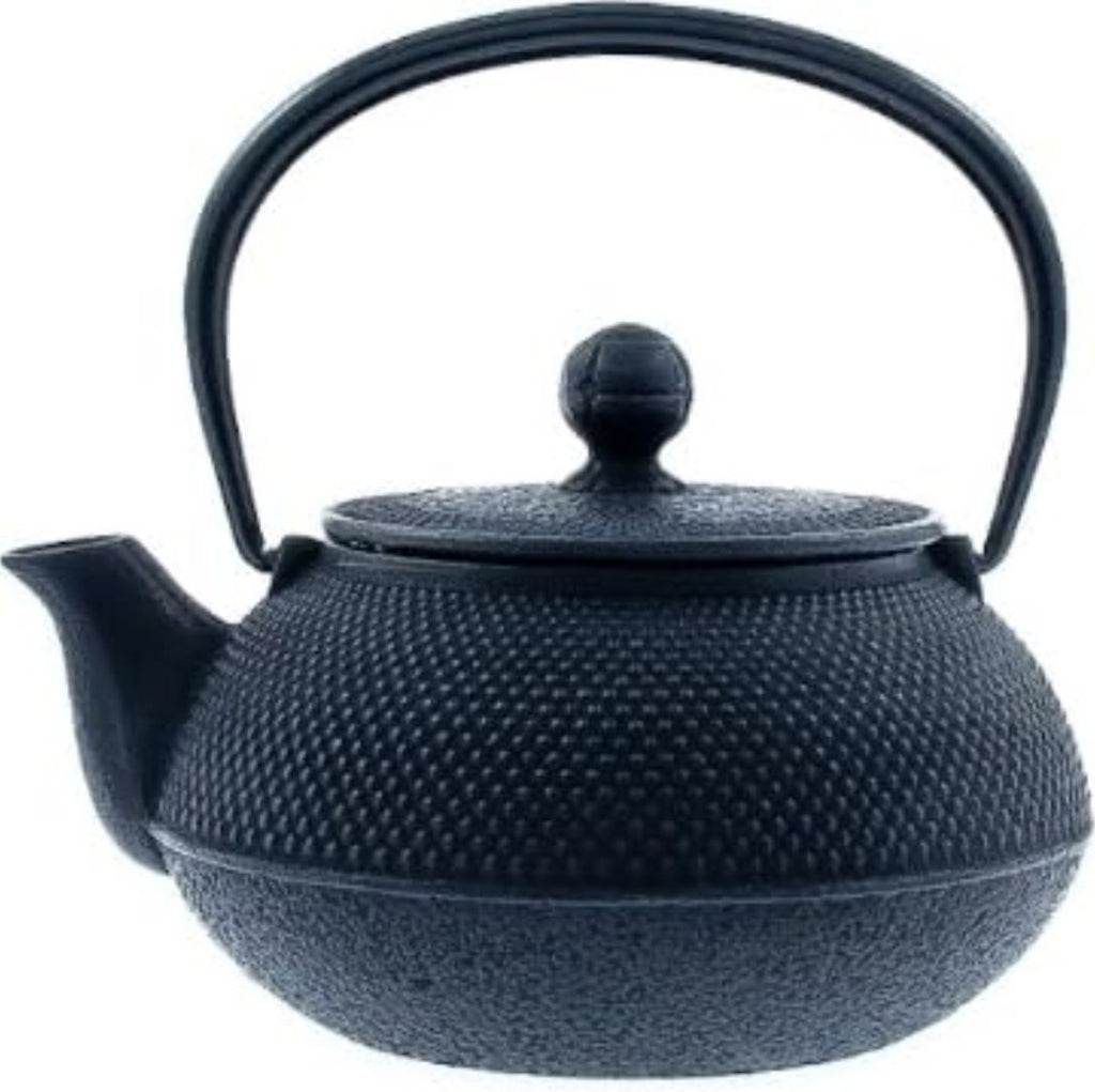 Japanese Cast Iron Tetsubin Teapot – Nambu Style with Infuser, 24 oz