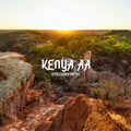 Kenyan AA Single-Origin Coffee — Top Grade, Mount Kenya Region