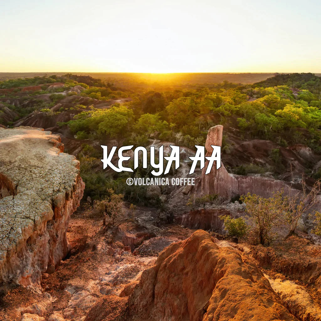 Kenyan AA Single-Origin Coffee — Top Grade, Mount Kenya Region