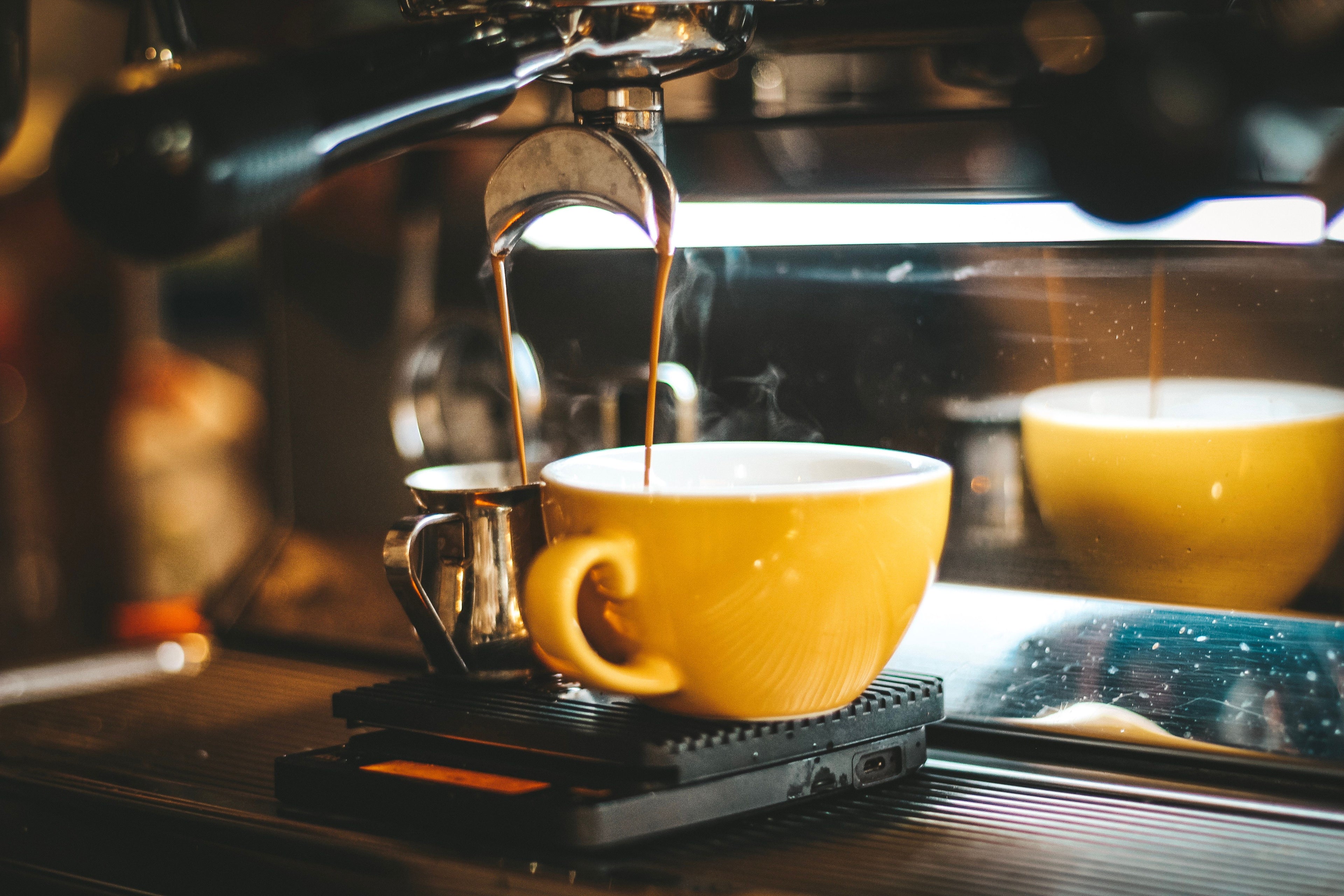 Kenyan AA single origin coffee dark roasted beans close up