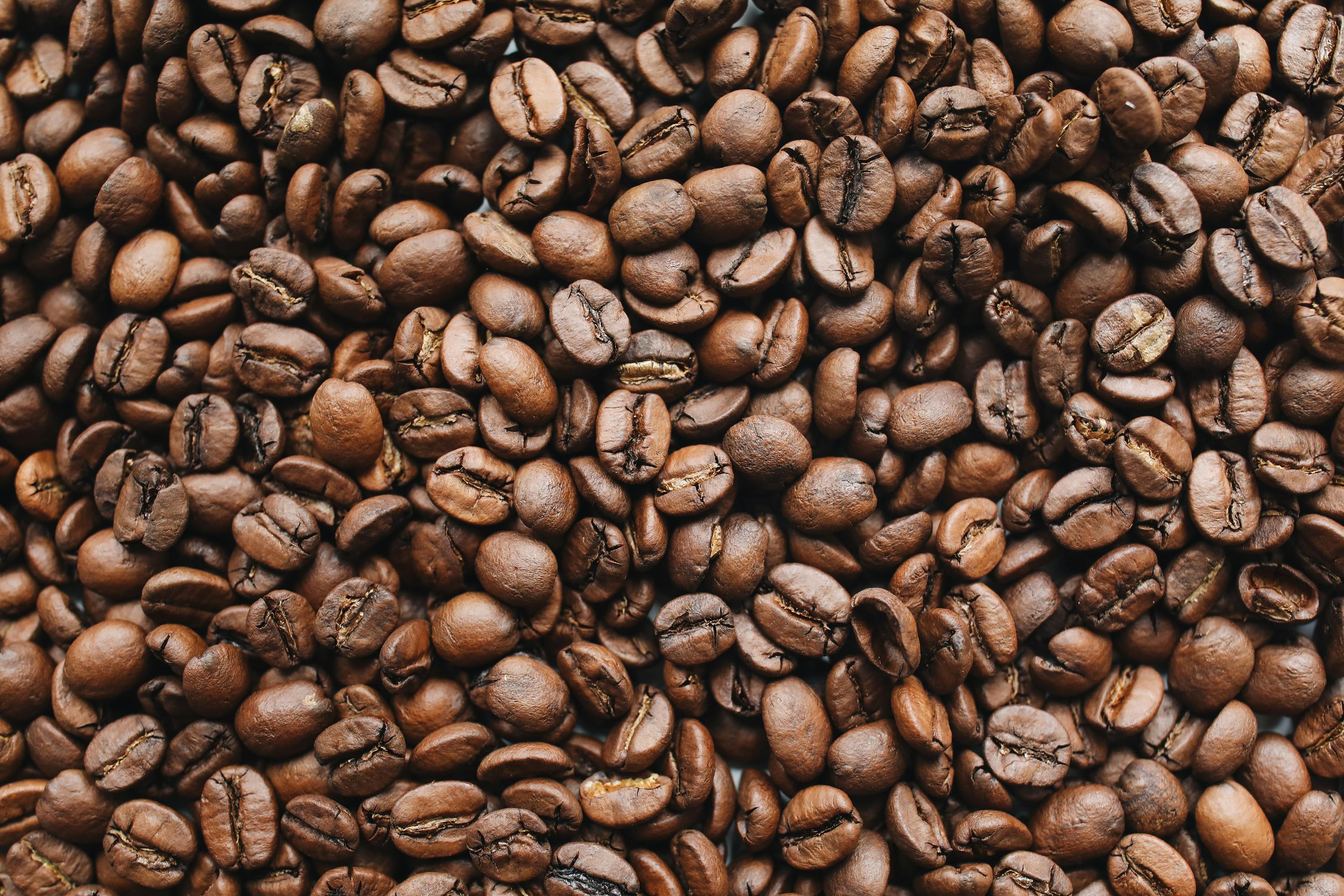 Mexican Chiapas single origin coffee beans in burlap bag
